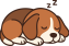 dog-9617105_1280